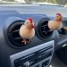 Brown chicken air vent clip