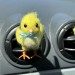 Classic chick air vent clip Chicken lover gift Farm animal car decor