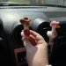 Cowgirl goose air vent clip Goose lover gift Farm animal car decor