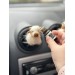 Milky white Scottish highland cows air vent clip Cow lover gift Farm animal car decor